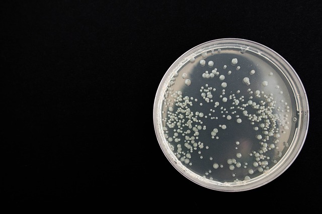 microbiología