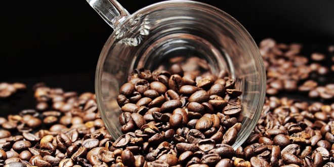 cafeina sueño