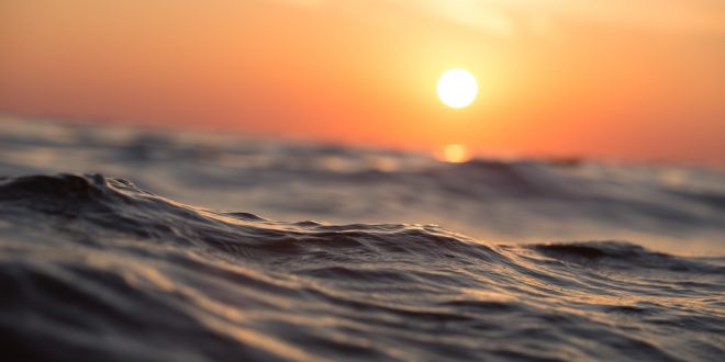 acidificacion del oceano