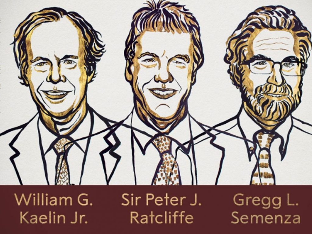premio nobel fisiología