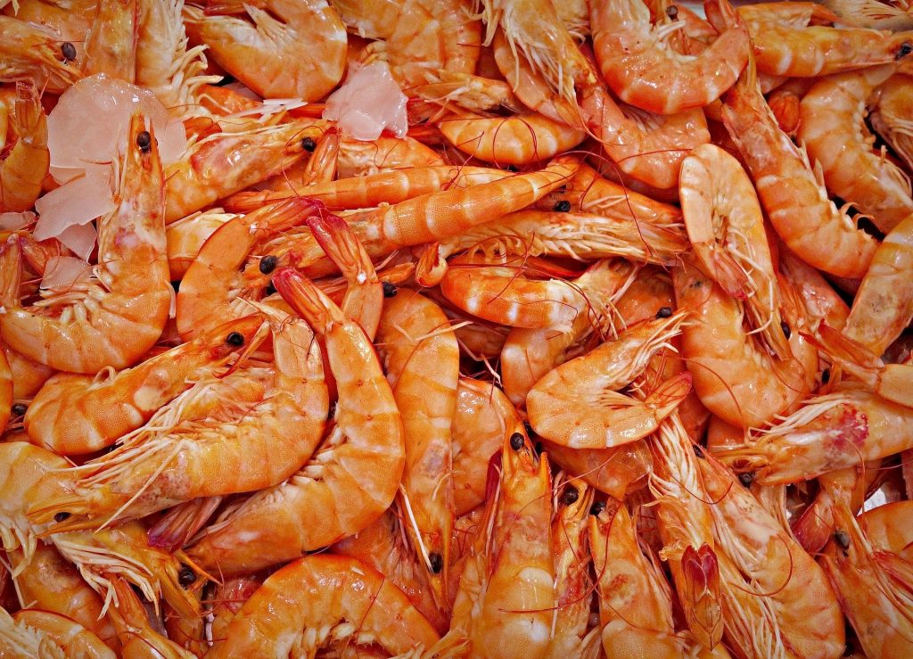 peligrosidad del cadmio en la cabeza de la gamba