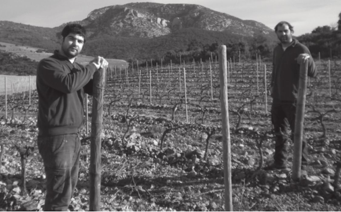 Domaine Semper