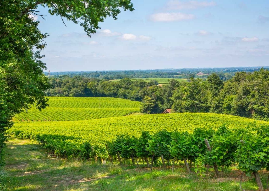 Domaine de Joy