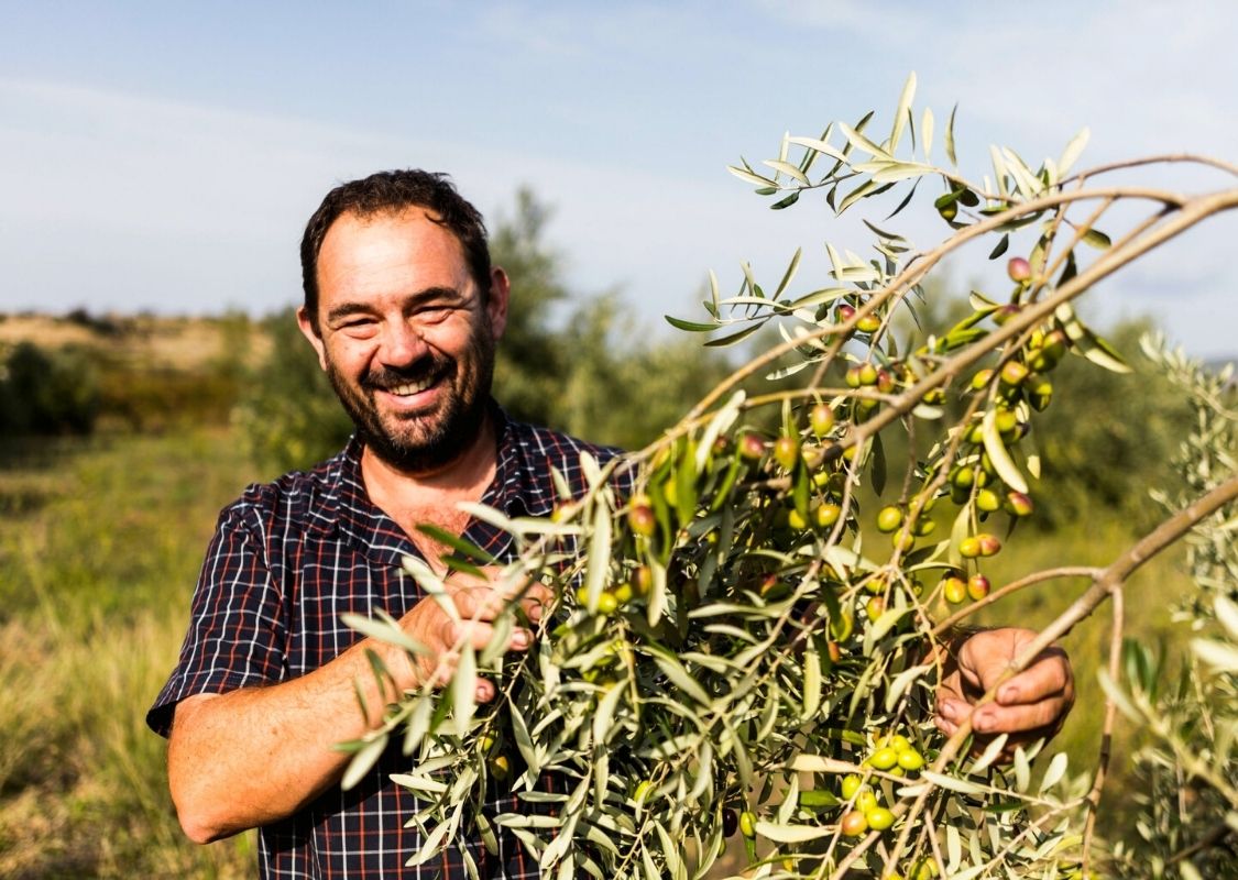 Thierry, vigneron en bio