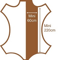 Morceau de cuir demi-dosset