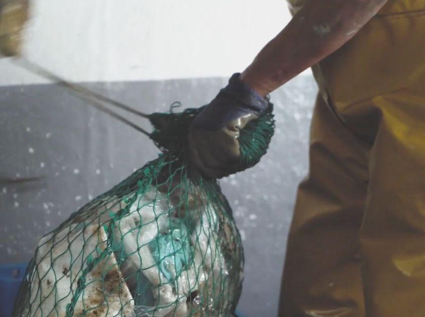 Recycler le plastique