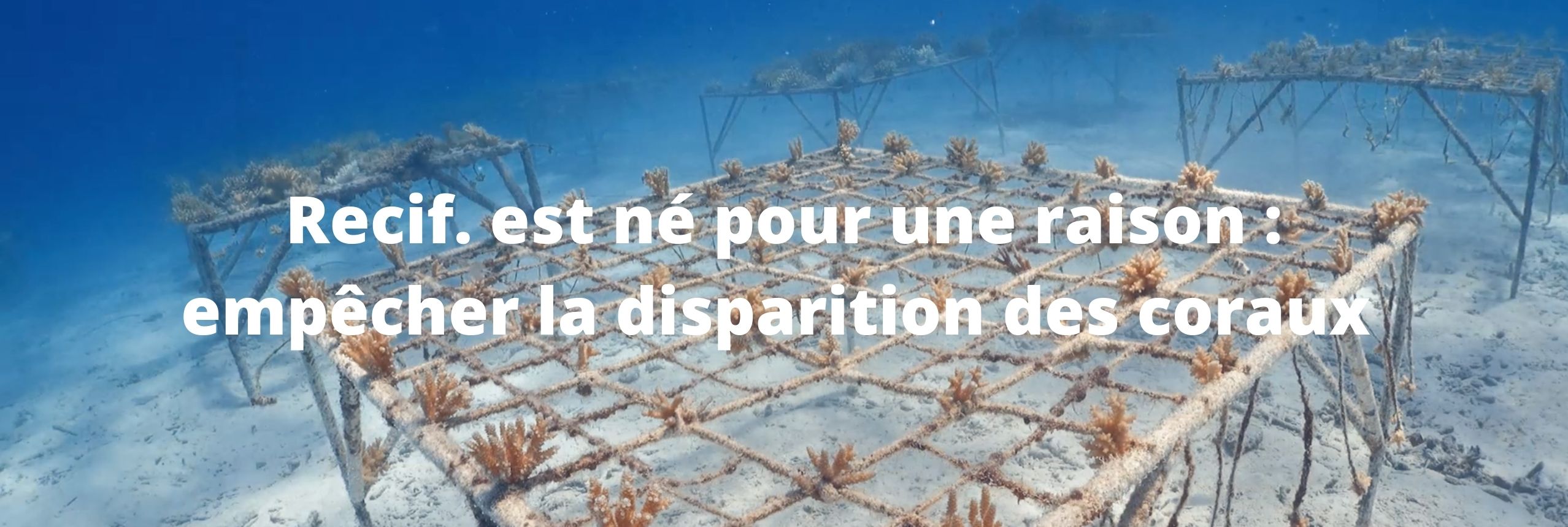 Implication des communautés locales