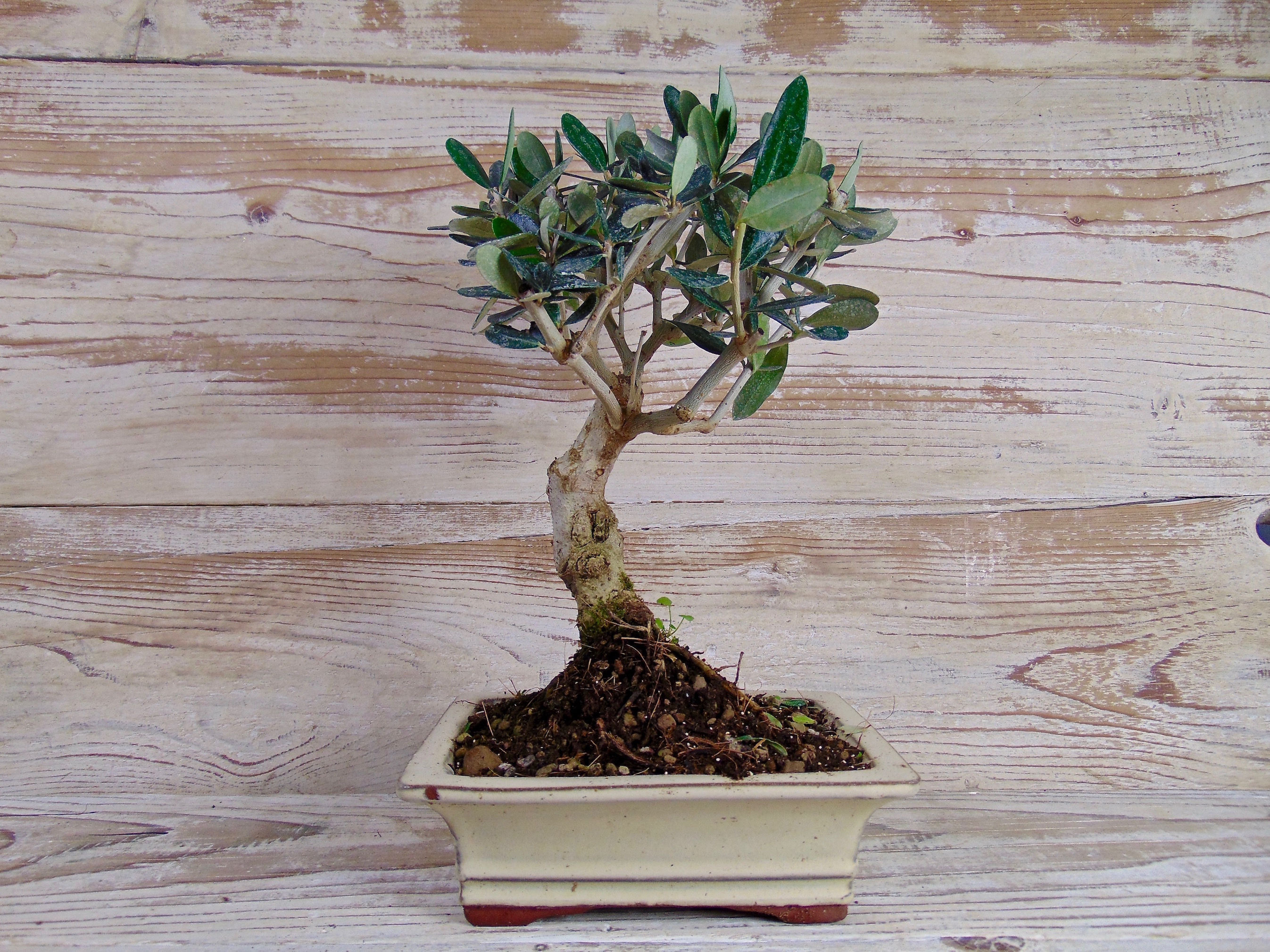 Set Tavolo E Sedie Da Giardino Prezzi E Offerte Online Leroy Merlin 2