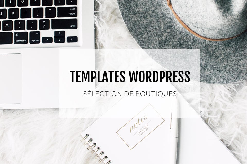 Thème WordPress: 4 choses à savoir pour le référencement