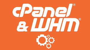 Qu’est-ce que WHM sur VPS?