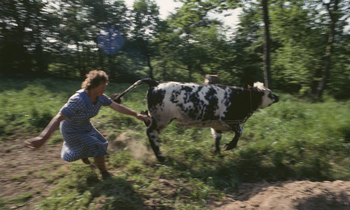 1992 Femme Vache Sinety.jpg