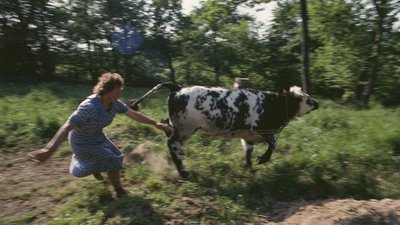 1992 Femme Vache Sinety.jpg