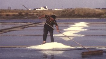 1er mai travail marais salant
