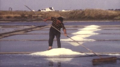 1er mai travail marais salant