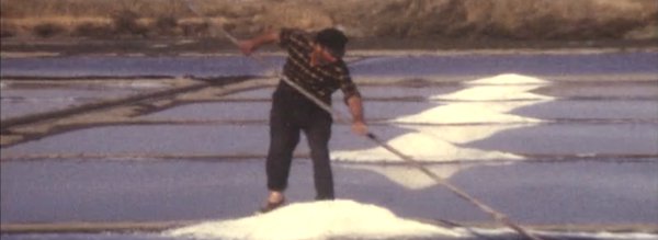 1er mai travail marais salant