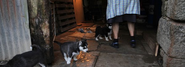 Inès Léraud journal Breton intérieur rural