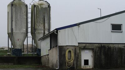 Inès Léraud journal Breton ferme et silo