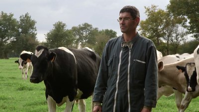 Agriculteur entouré de ses vaches - Les apprentis en herbe