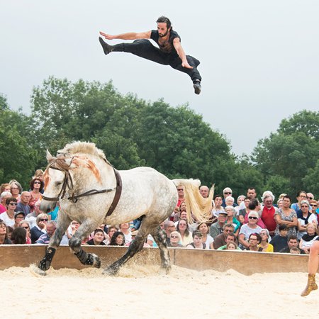 Anachronisme circulaire Gare au Gorille