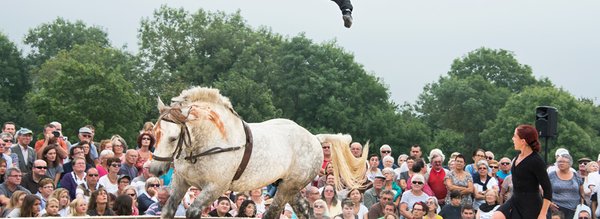 Anachronisme circulaire Gare au Gorille