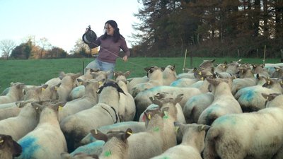 Anne cloture l enclos - Terra Luna