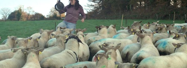 Anne cloture l enclos - Terra Luna