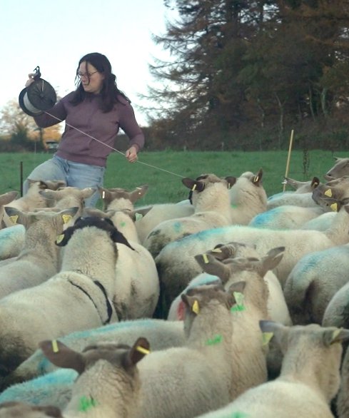 Anne cloture l enclos - Terra Luna