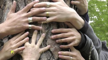 Compagnie Sous le manteau mains sur arbre