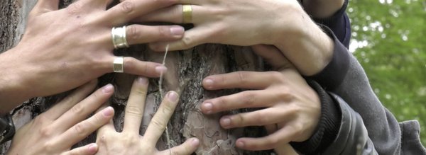 Compagnie Sous le manteau mains sur arbre