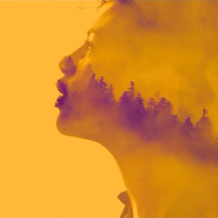 Cover image yellow sunvizors