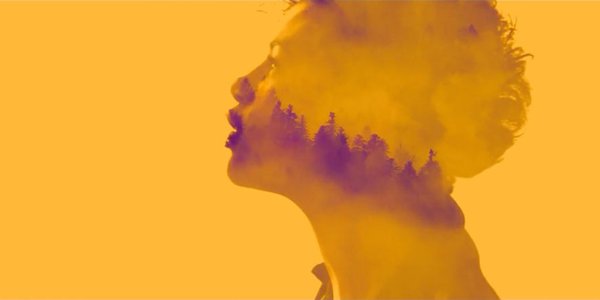 Cover image yellow sunvizors