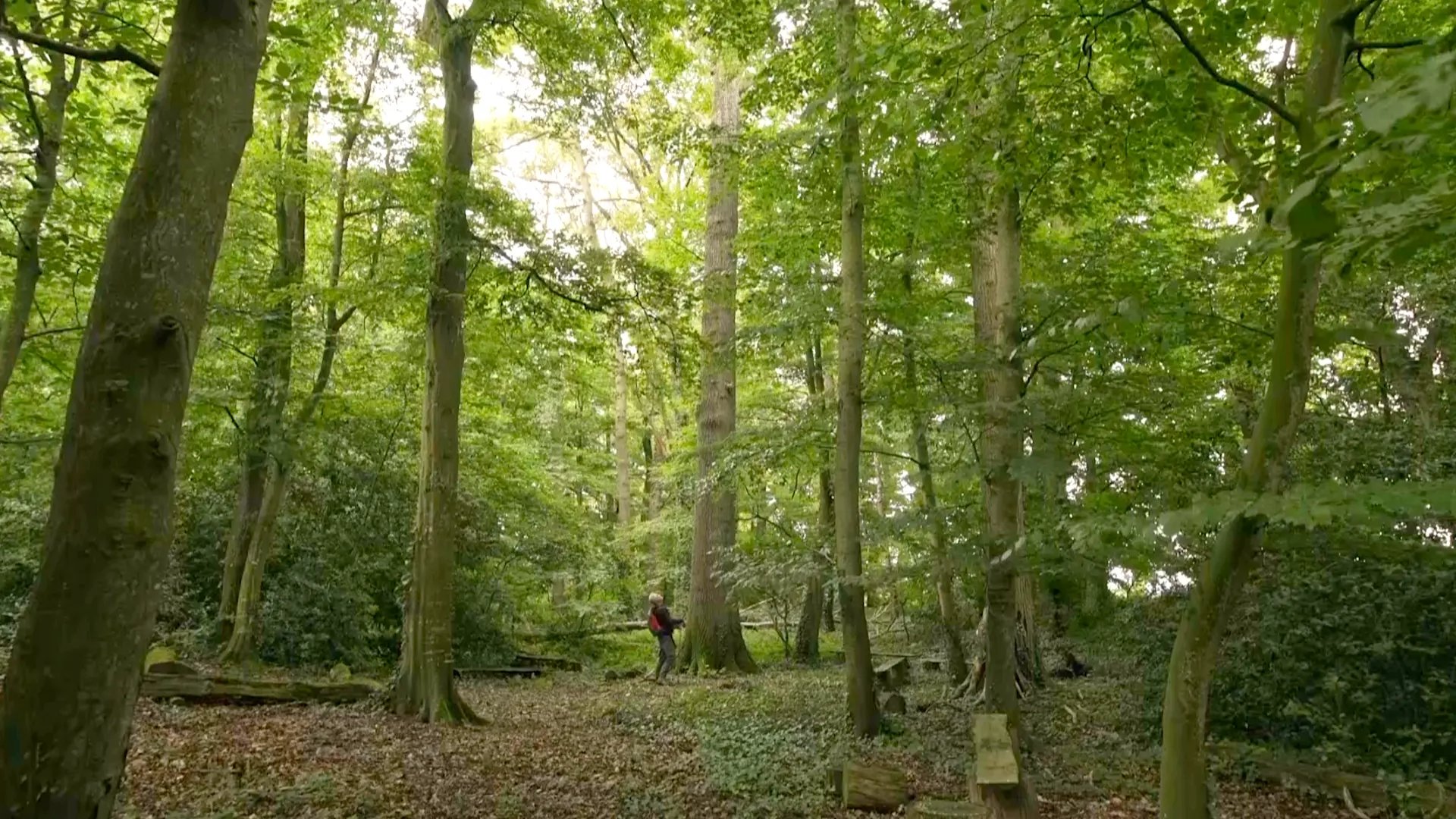 Cultiver la foret - Houadec - Banner - hd