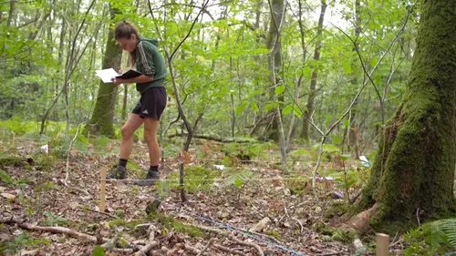 Cultiver la foret - Houadec  - gabarit