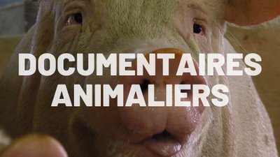 DOCU ANIMALIER COVER