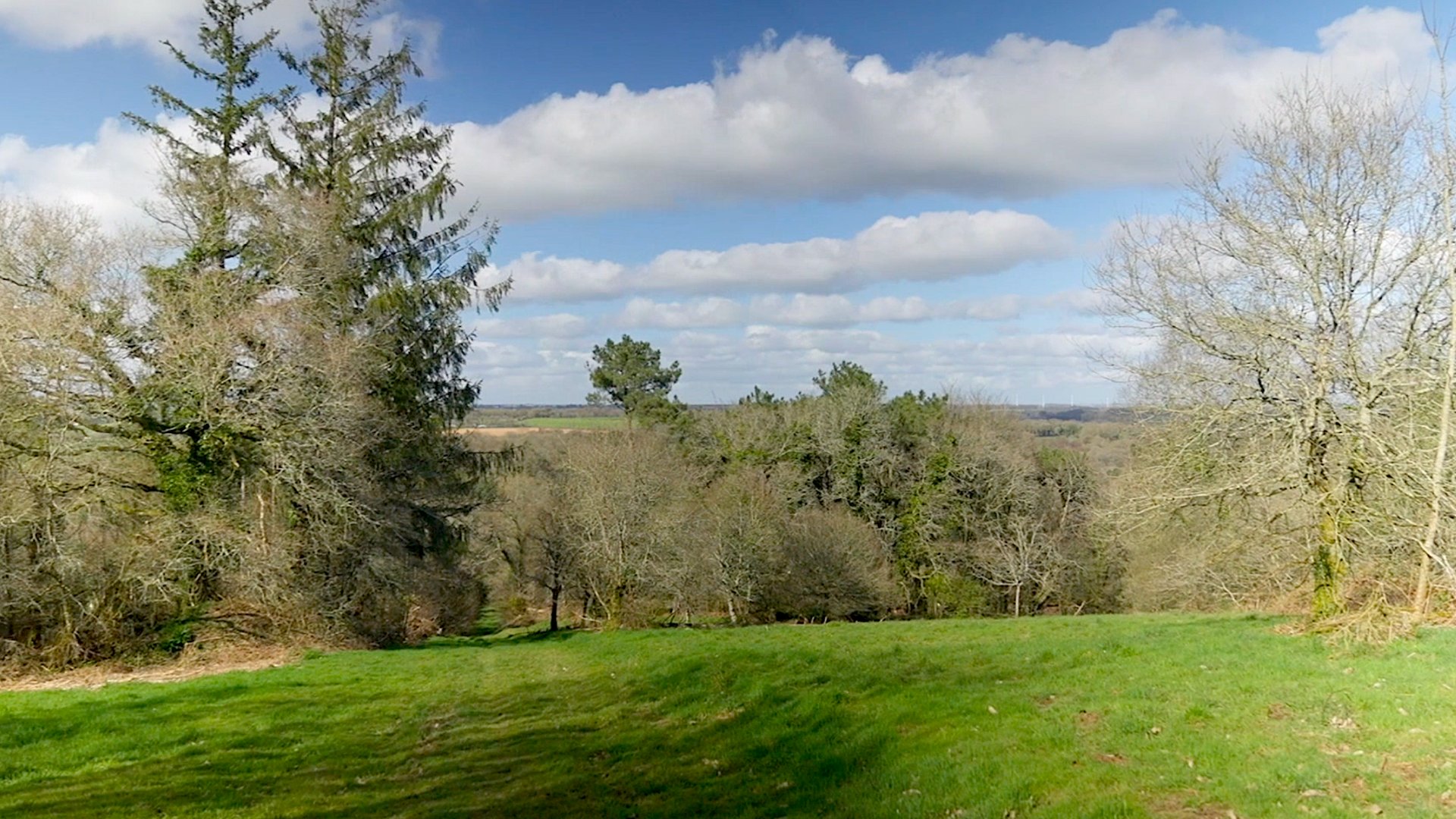 Dans le rush - Maréchal - Banner - hd