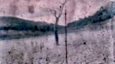 Eaux dormantes emmanuel piton