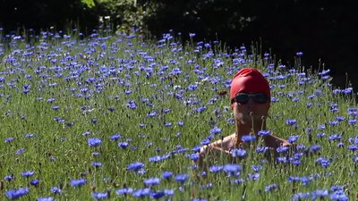 Erwann Babin dans la lavance Parcelle 808