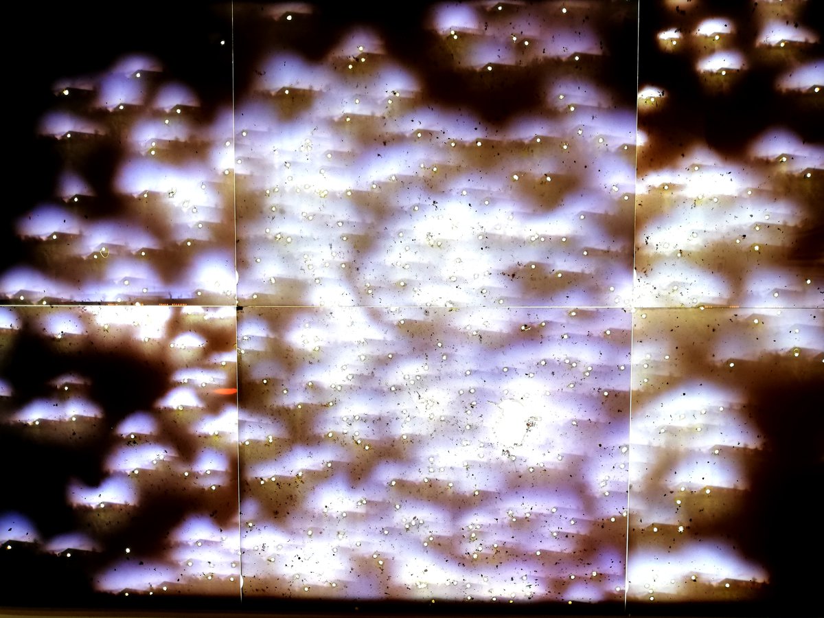 estelle chaigne mitraille le lieu galerie dix