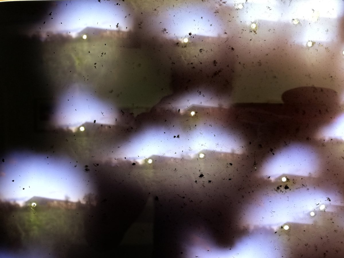 estelle chaigne le lieu galerie mitraille huit