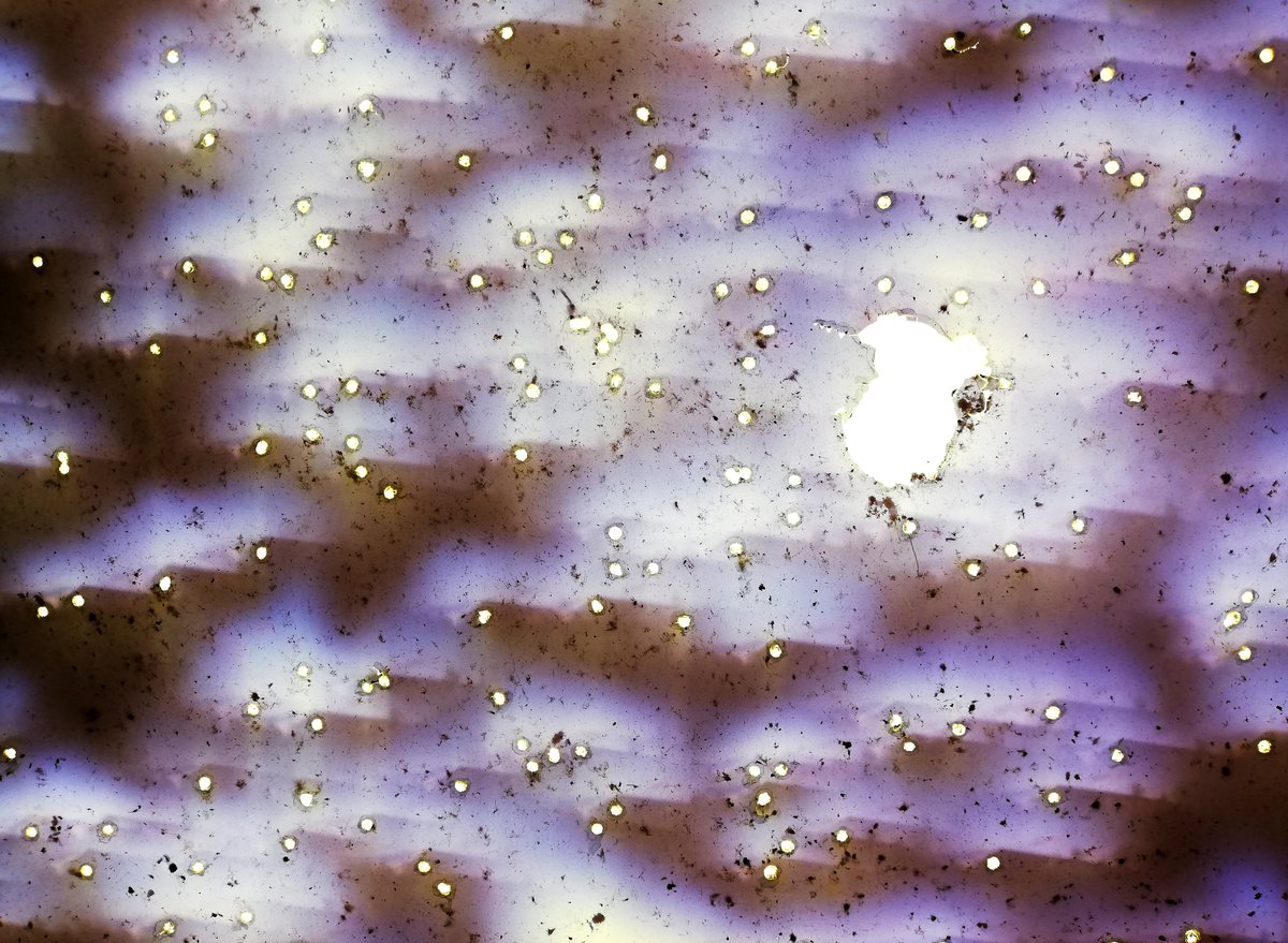 estelle chaigne mitraille le lieu neuf