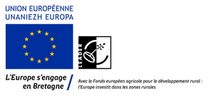 FEDER logo Europe