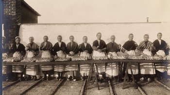 Face cachée - saison 2 - Steyer - cover