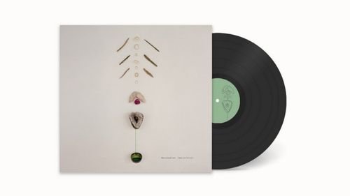 Gabarit - Bacchantes - Pas un bruit - album