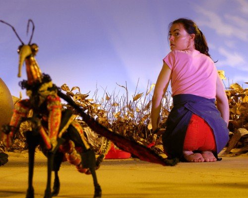 Gorgiard - portrait - Gabarit