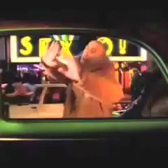 Header - T5A -Attires par le vrai ! KuB