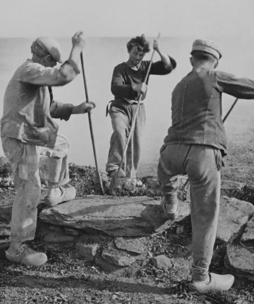 Hommes au travail - Goémons