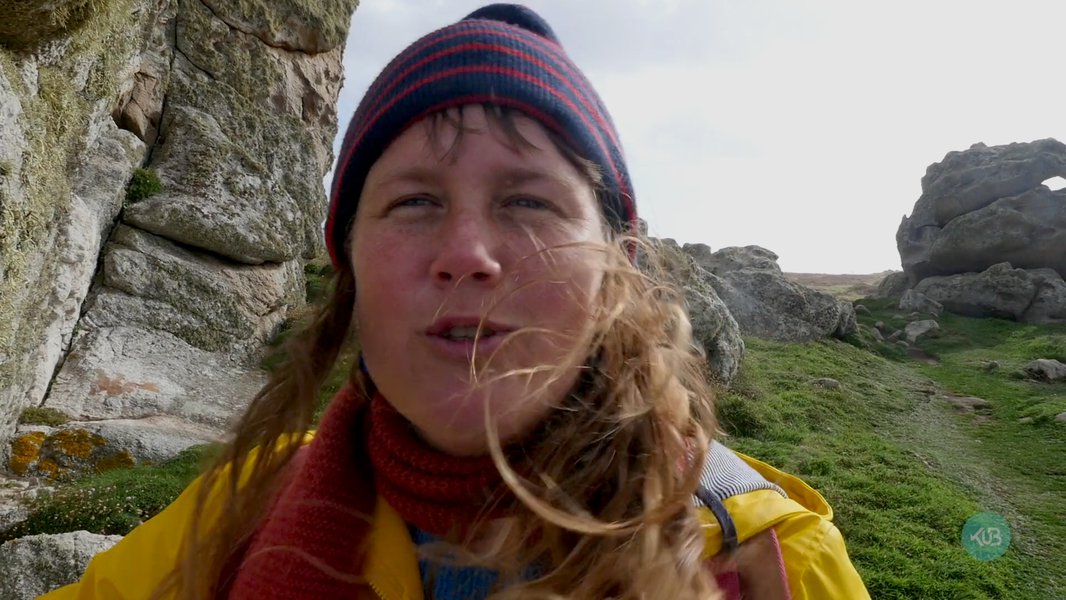 Sophie Salleron - Qui voit Ouessant