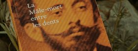 La male mort couverture  fabienne Juhel.