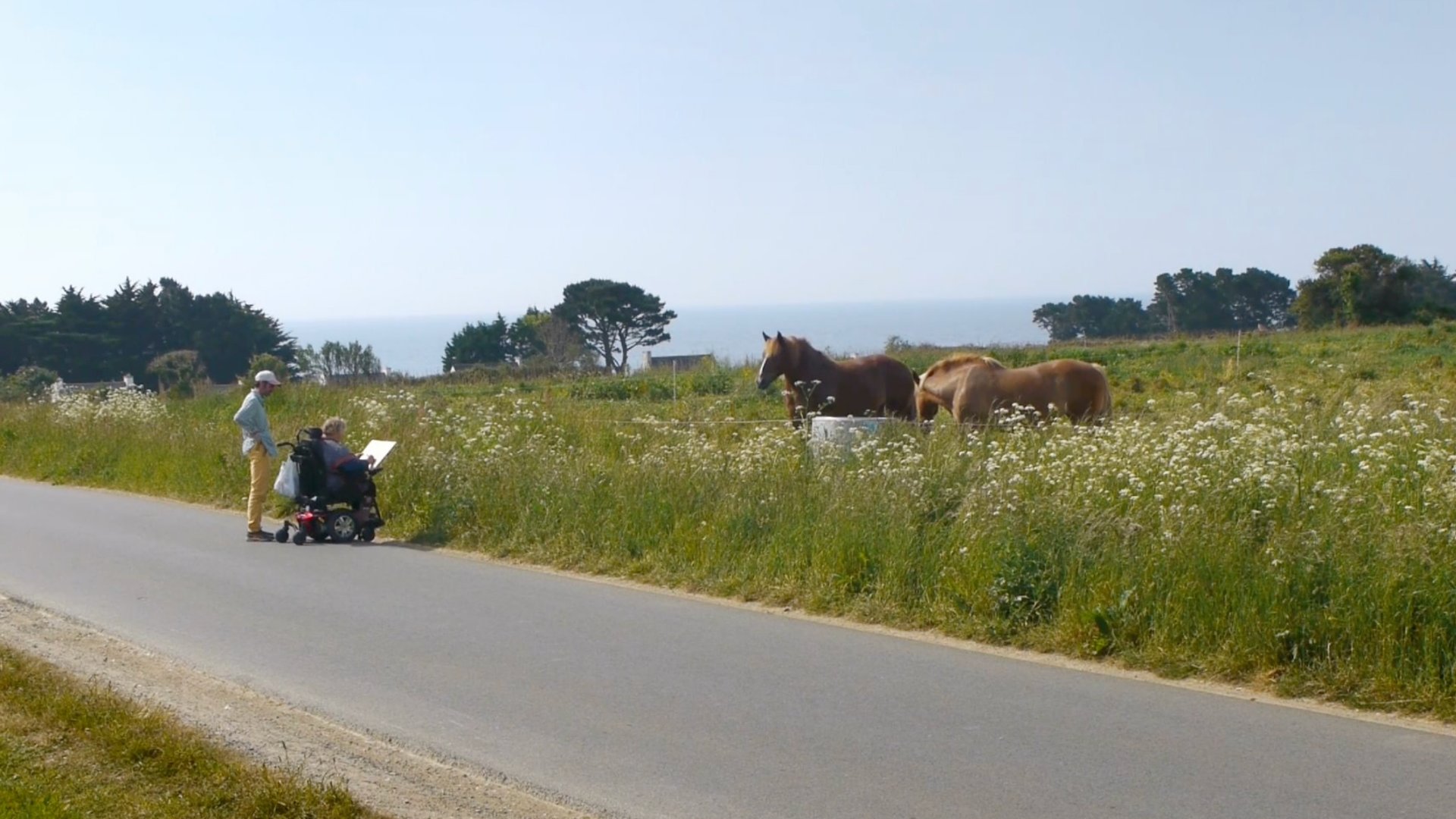 La vie totale - Poisson - Banner - hd