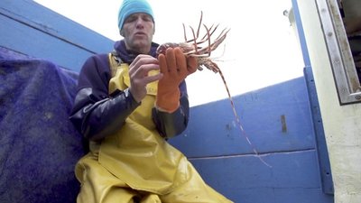 L'aventure de la langouste - Pichon - cover